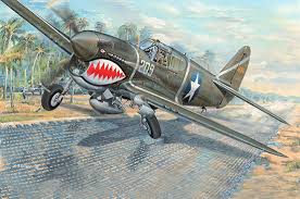 Trumpeter 1/32 P-40F War Hawk