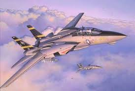 Revell 1/72 Grumman F-14A Tomcat