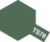 TS-78 Field Gray for Plastics