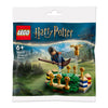 Lego Harry Potter 30651 Quidditch Practice