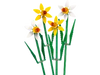 LEGO® Iconic Daffodils