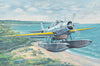 Trumpeter 1/32 TBD-1A Devastator