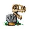 LEGO® Jurassic World™ Dinosaur Fossils: T. rex Skull