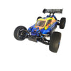 HSP- 1/10 Planet Brushless RC Buggy