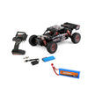 1/12 Habile Racing World Truggy