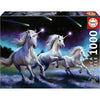 Educa Shooting Stars Anne Stokes Puzzle 1000 Pieces