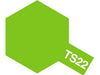TS-22 Light Green Synthetic Paint