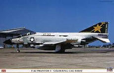 Hasegawa 1/48 F-4J Phantom II 'Colourful Cag Birds'