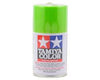 TS-22 Light Green Synthetic Paint