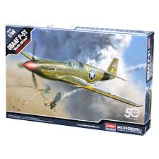 Academy 1/48 USAAF P-51 "North Africa"