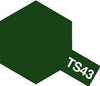 TS-43 Racing Green Synthetic Paint