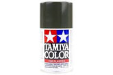 TS-4 German Grey Synthetic Paint
