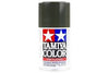 TS-4 German Grey Synthetic Paint