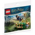 LEGO® Harry Potter Quidditch Practice