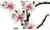 LEGO® ICONS™ Orchid