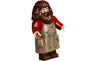 LEGO® Harry Potter™ Hagrid's Hut: An Unexpected Visit