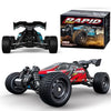 1;16 PRO Brushless RC car Buggy/Truggy 4x4 2.4Ghz RTR 1 Battery bundle