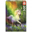 EDUCA - CHASE THE RAINBOW, ANNE STOKES  PUZZLE