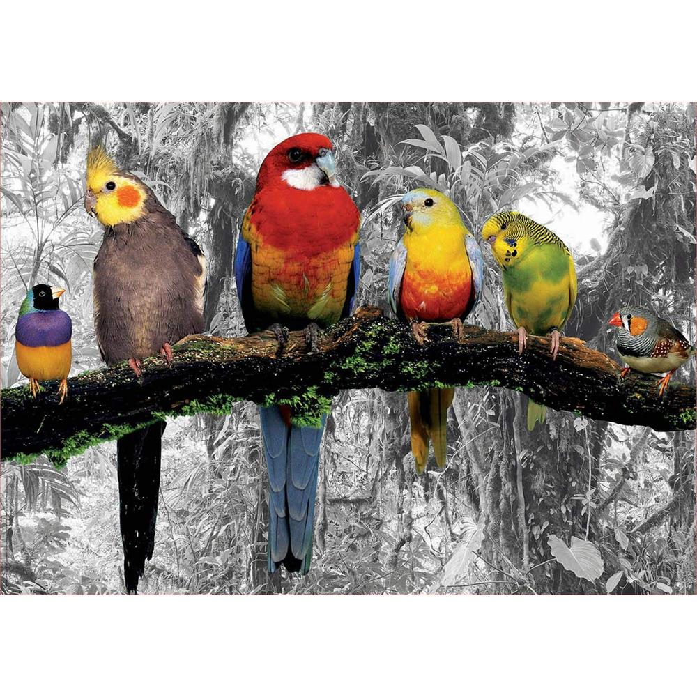 Educa Birds in the Jungle 500 Piece Jigsaw Puzzle