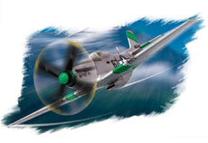 1/72 P-51D “mustang IV”
