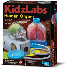 Kidz Lab Human Organs