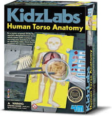Kidz Labs  4M Human Torso