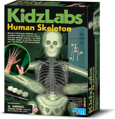 Kidz Labs  4M Glow Human Skeleton