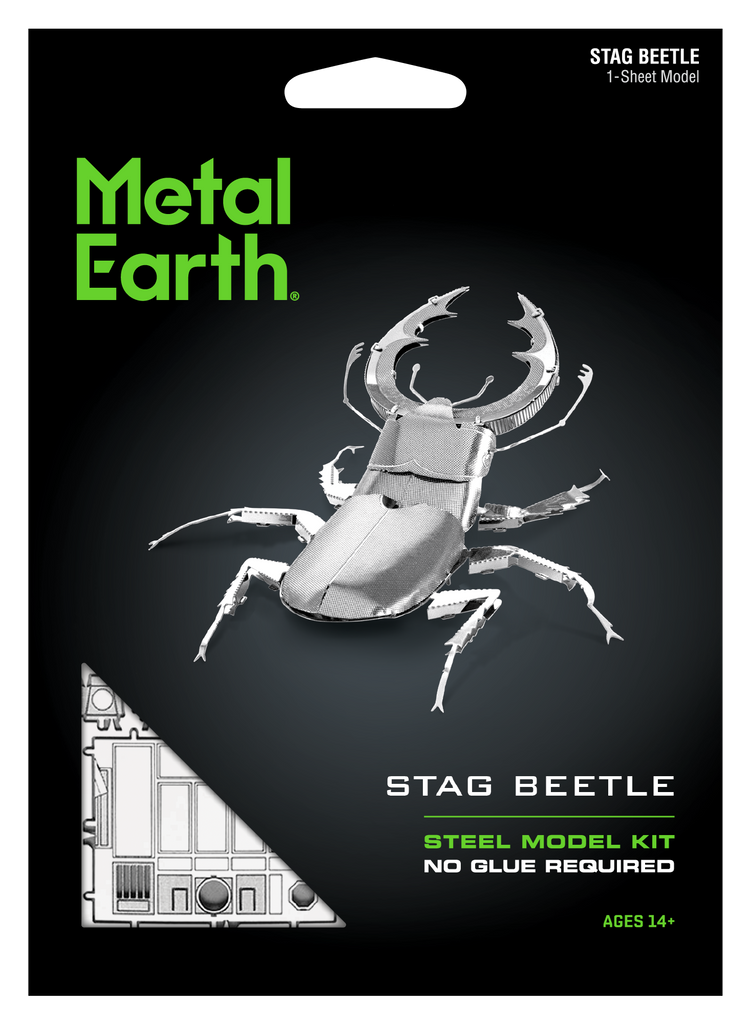 Stag Beetle