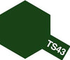 TS-43 Racing Green for Plastics