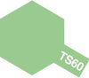 TS-60 Pearl Green for Plastics