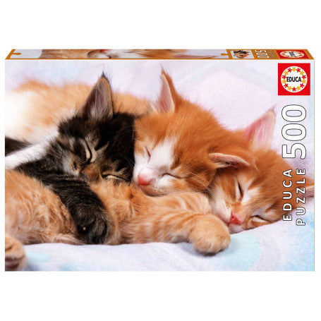 EDUCA Kittens – GP Models